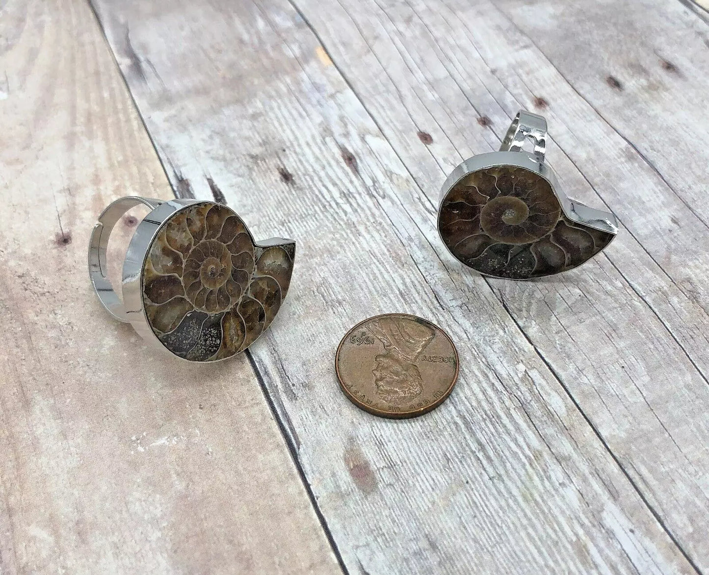 Adjustable Ammonite Fossil Ring Raw Ammonite Snail Shell Fossil Silver Band