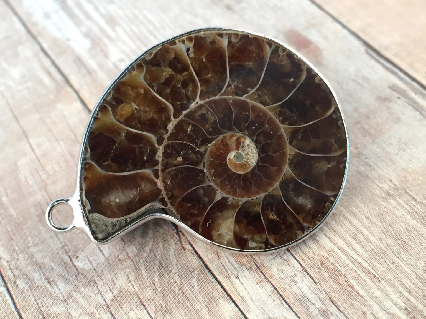 Sea Snail Fossil Charm Ammonite Gemstone Fossil Pendant Nautical Sea Shell Charm