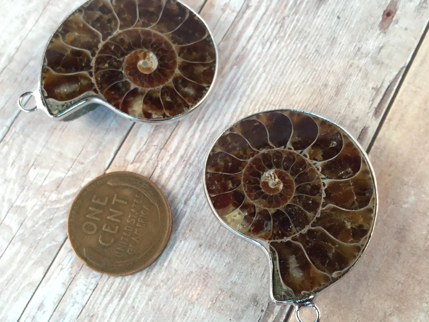 Sea Snail Fossil Charm Ammonite Gemstone Fossil Pendant Nautical Sea Shell Charm